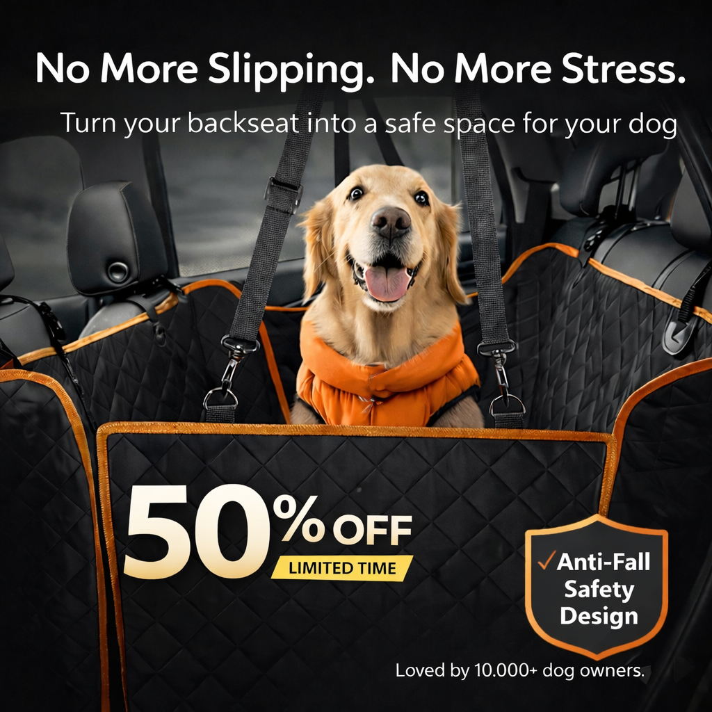 PawsonBoard - TravelNest
