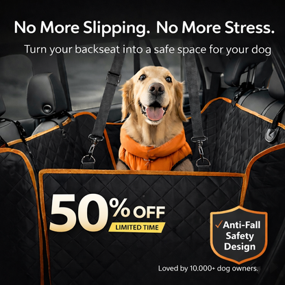 PawsonBoard - TravelNest