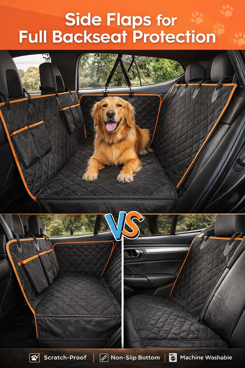 PawsonBoard - TravelNest